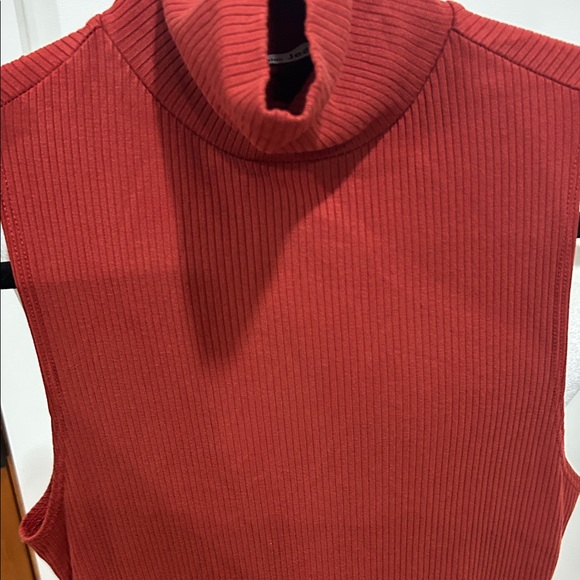 Reformation burnt Red Sleeveless Mini Dress - Picture 4 of 4